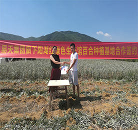 为全面推进ob电竞阳湖红绿色生态馆，打造龙城最大的绿色农产品供应基地。7月22日早晨，艳阳高照，ob电竞阳湖红绿色生态馆与宜兴百合种植八大家之一的潘氏百合种植基地合作，推进绿色农产品签约仪式在宜兴举行。ob电竞阳湖红绿色生态馆项目负责人黄贤萍、潘氏百合种植基地潘先生等有关负责人出席签约仪式，潘先生的百合种植基地也正式成为ob电竞集团阳湖红生态百合种植基地！