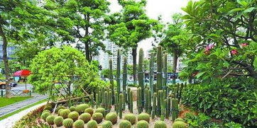 厦门将进行第二轮市政设施和园林绿化综合整治提升