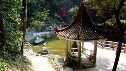 厦门的|经典|园林绿化设