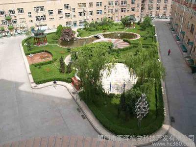 供应厦门园林景观绿化/园林景观绿化程施队/蘅晖5929337