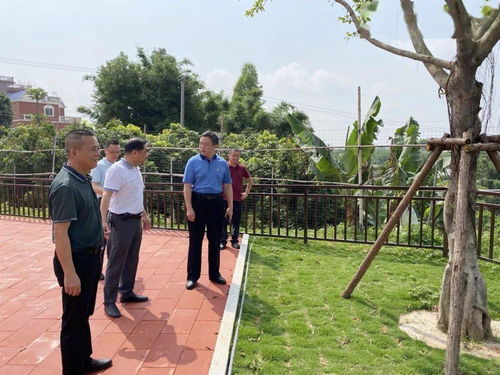 学党史,深调研,凝智慧,挂钩帮扶办实事