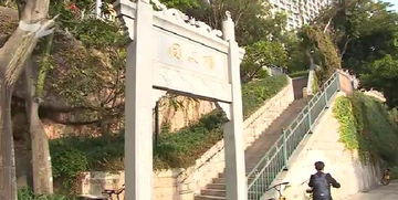 思明区提升园林绿化景观 同文顶社科文化园春节前开放