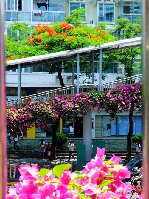 住建部出新规 资质取消后,园林绿化工程怎么管,都说明白了