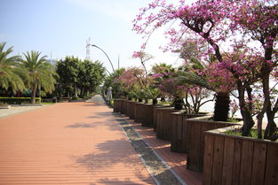 厦门,海湾公园海边风光摄影