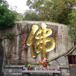2018厦门园林植物园 旅游攻略 门票 地址 游记点评,厦门旅游景点 酒店 购物 美食推荐 去哪儿攻略社区