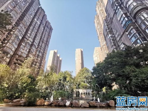 龙岩品牌小区入住后现状如何 蓝房图说系列 一 厦鑫博世园