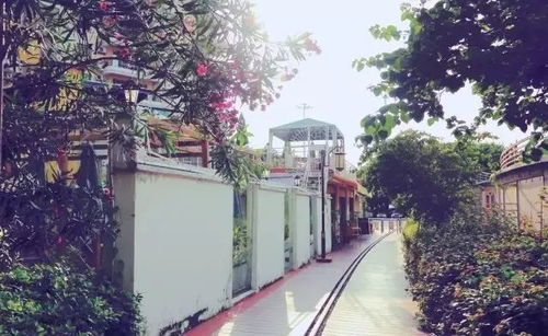 春天一起约在厦门吧