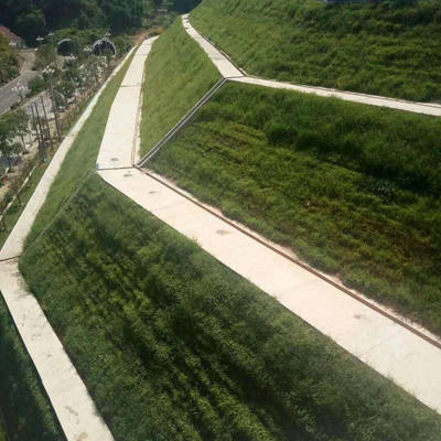 厦门园林景观公园绿化养护