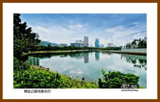 南行游摄 鹭岛公园周边景色 福建厦门岛