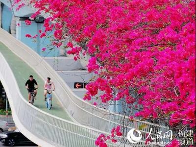 厦门统筹城乡绿化发展 山海健康步道将延伸至东坪山