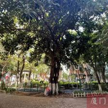 真没想到 90天带看400多次!厦门这个小区卖得这么好