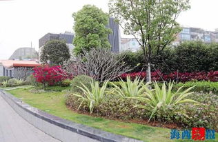 厦门地铁1号线岛内大部分站点改造及景观提升月底完成