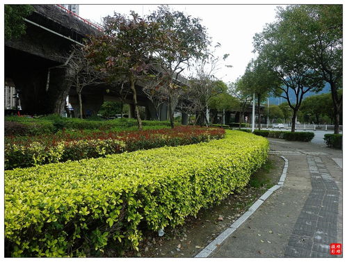 福建福州 鳄鱼公园风景