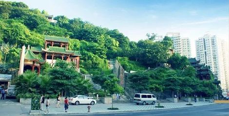 【企业风采】热烈庆祝“厦门市颖艺景观工程rdquo;入驻中国园林绿化网