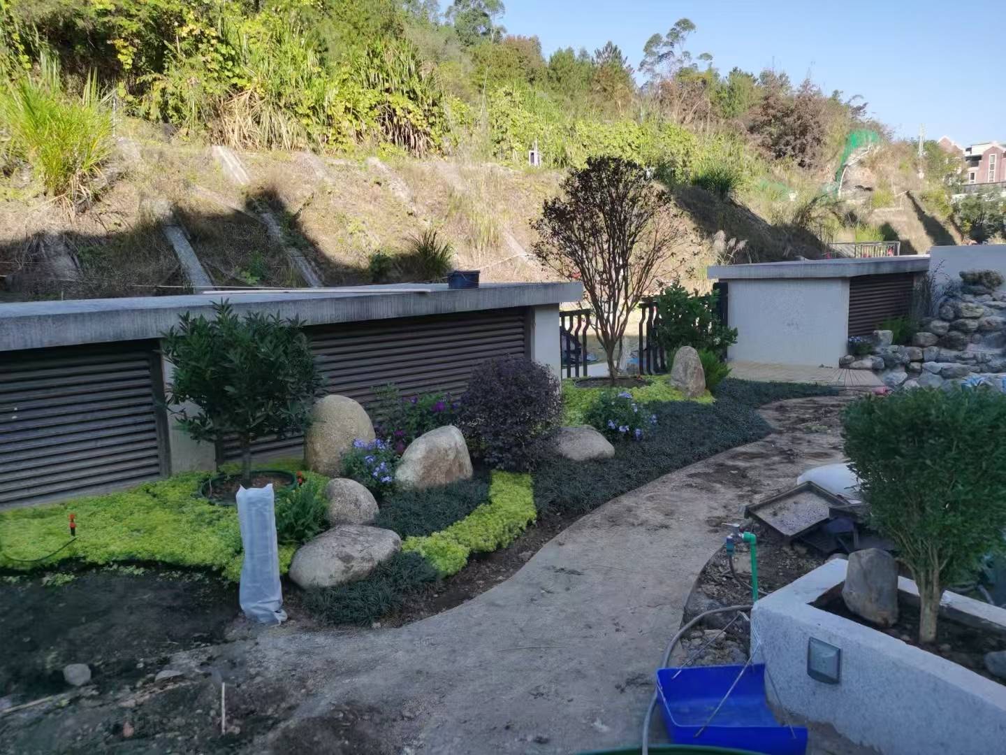 厦门景观施工绿化工程_城市_绿意_绿色