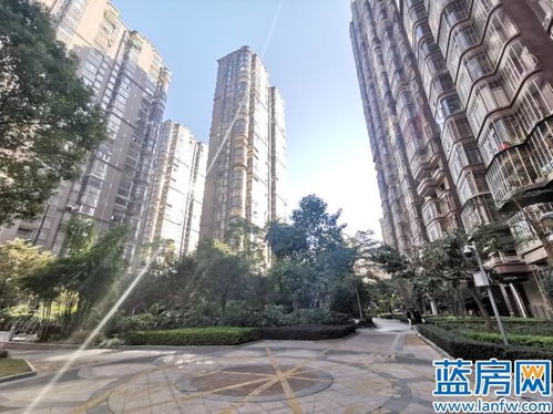 龙岩品牌小区入住后现状如何 蓝房图说系列 一 厦鑫博世园
