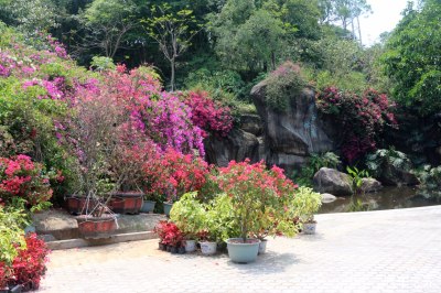 厦门市万石山植物园一日游