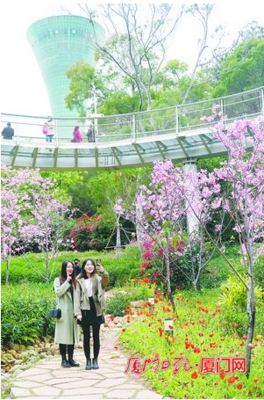 绿色打底绣鹭岛 多彩城市展魅力我市持续推进园林绿化工作,巩固国家生态园林城市创建成果,不断提升城市生态宜居水平,为高颜值厦门夯实基础