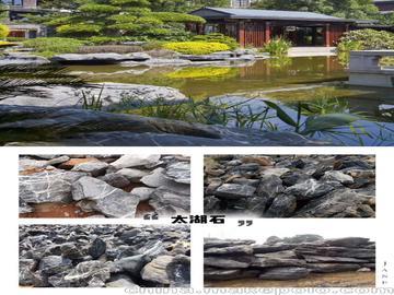 "厦门园林绿化"