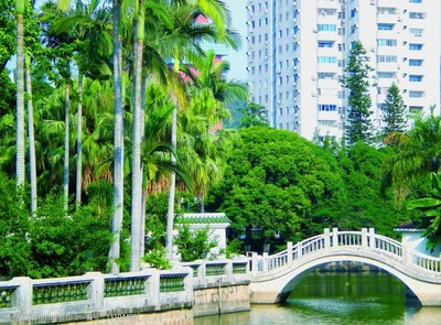 厦门中山公园一角图片素材