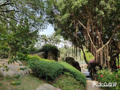 厦门市园林植物园