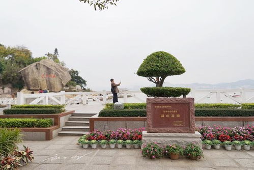 厦门鼓浪屿的百年海上园林 名字里的第一个字,却难倒大批游客